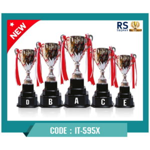 ถ้วยรางวัล IT-595X