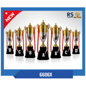 ถ้วยรางวัล 6606X