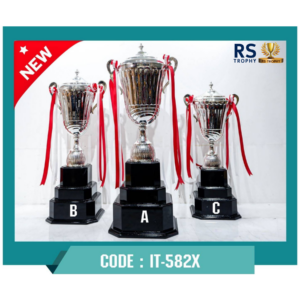ถ้วยรางวัล IT-582X