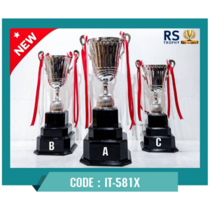 ถ้วยรางวัล IT-581X