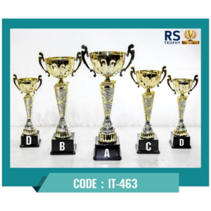 ถ้วยรางวัล IT-463