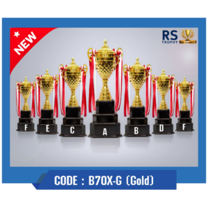 ถ้วยรางวัล B70X-G(Gold)