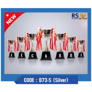 ถ้วยรางวัล B73-S(Silver)