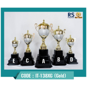 ถ้วยรางวัล IT-138XG