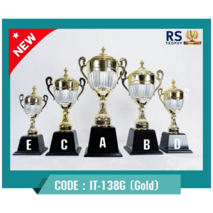 ถ้วยรางวัล IT-138G