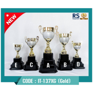 ถ้วยรางวัล IT-137XG