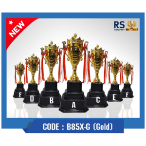ถ้วยรางวัล B85X-G(Gold)
