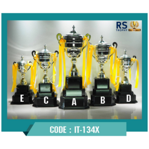 ถ้วยรางวัล IT-134X