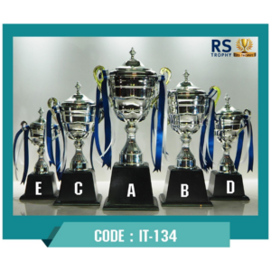 ถ้วยรางวัล IT-134