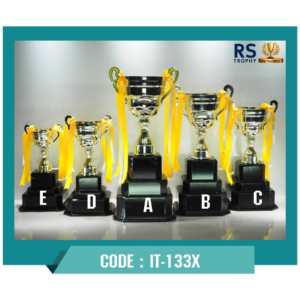 ถ้วยรางวัล IT-133X