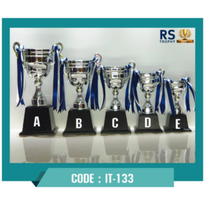 ถ้วยรางวัล IT-133