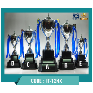 ถ้วยรางวัล IT-124X