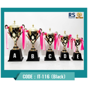 ถ้วยรางวัล IT-116B