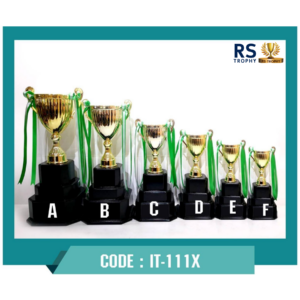 ถ้วยรางวัล IT-111X