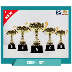 ถ้วยรางวัล D21