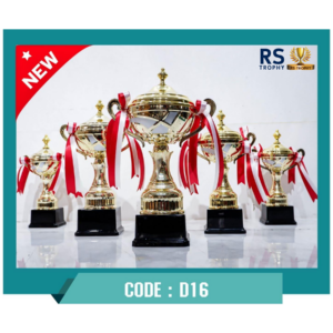 ถ้วยรางวัล D16